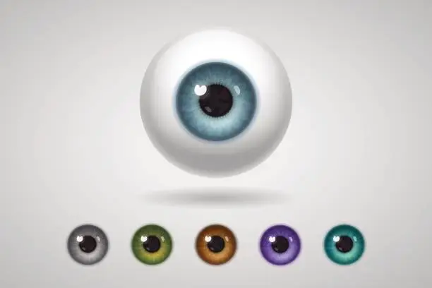 Vector illustration of Eyeball and colored irises