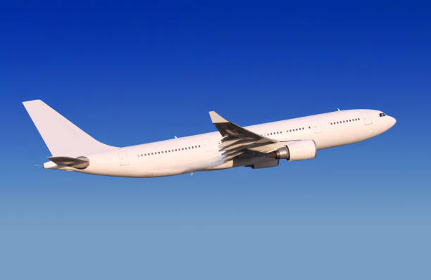 istock passenger aircraft is landing 664795962