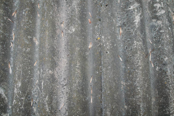 istock Background of slate with leaves 664800224