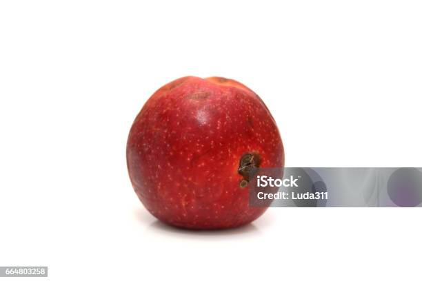 Red Rotten Apple Natural Color And Texture Stock Photo - Download Image Now - Bruise, Fruit, Aging Process