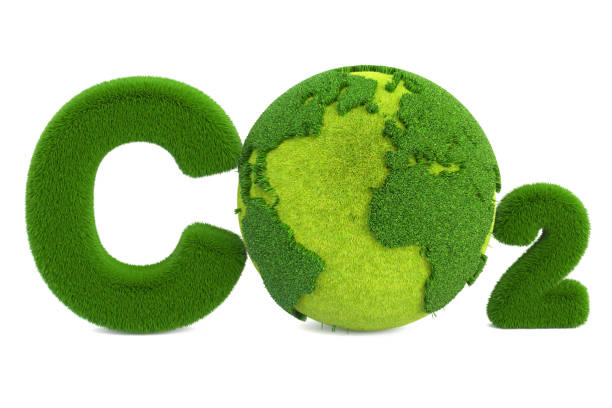 CO2 from grass inscription with globe, eco concept. 3D rendering isolated on white background vector art illustration
