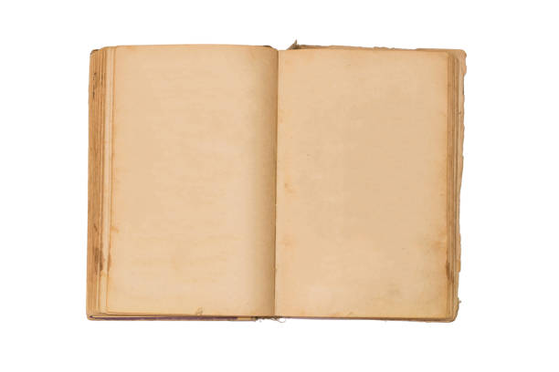 istock Open old book isolated, vintage book with blank yellow stained pages. 664803634