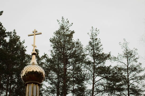 istock Church dome on the sky background 664810920