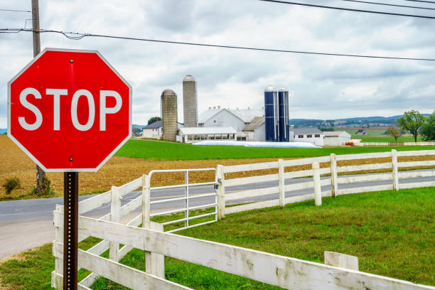 istock Amish country, PA 664823514