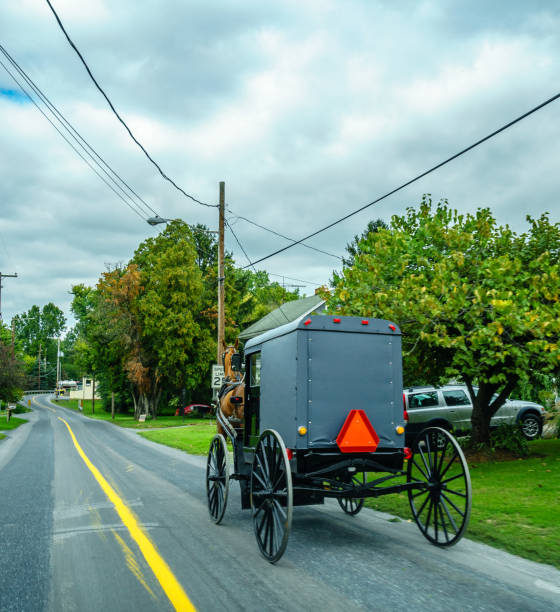 istock Amish country, PA 664824122