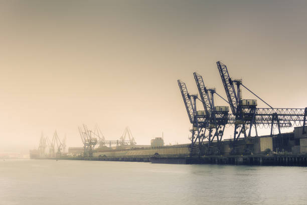 Cranes and industrial heavy machinery