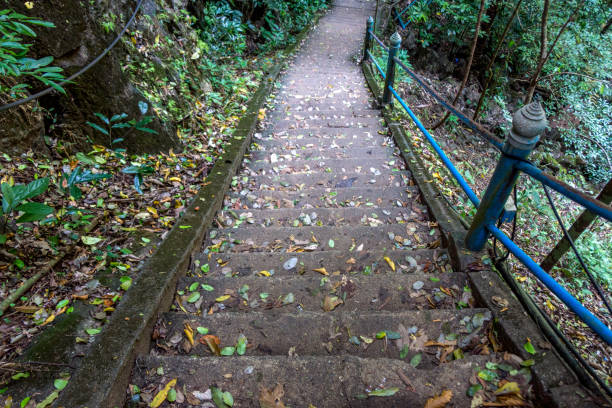istock Old stone staircase in the jungle 664827040