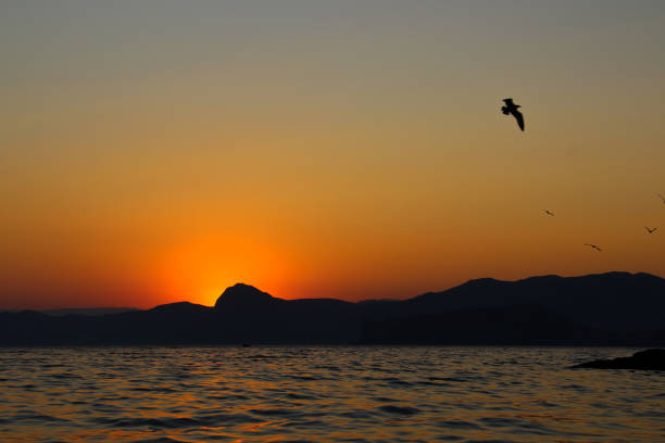 istock Sunset, Evening, Landscape, Twilight, Landscape, Mountains, Black Sea 664830930