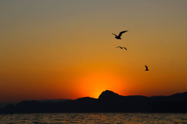 istock Sunset, Evening, Landscape, Twilight, Landscape, Mountains, Black Sea 664831016