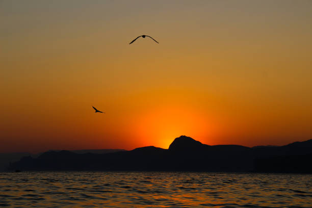 istock Sunset, Evening, Landscape, Twilight, Landscape, Mountains, Black Sea 664831072