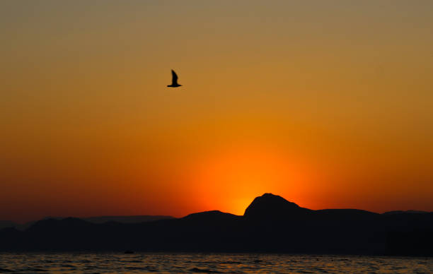 istock Sunset, Evening, Landscape, Twilight, Landscape, Mountains, Black Sea 664831146