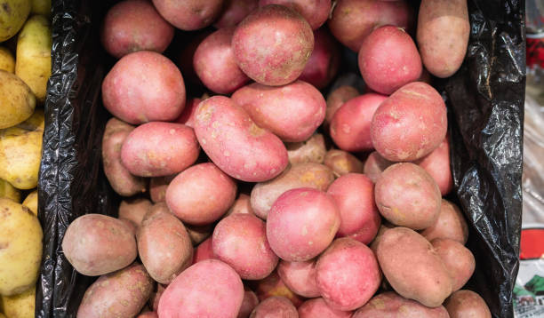 istock Close up of potatoes 664831198