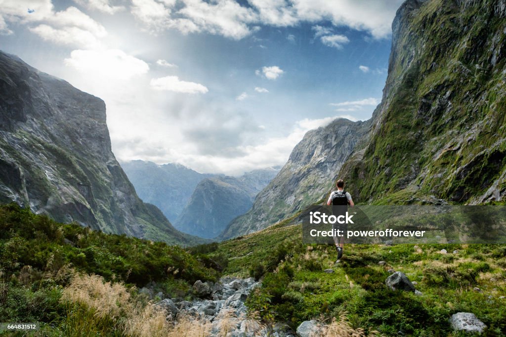 Hiker in the Landscape of the Southern Alps in New Zealand Tourist hiking amongst the beautiful landscape of the Southern Alps mountains in Fiordland National Park, New Zealand. New Zealand Stock Photo