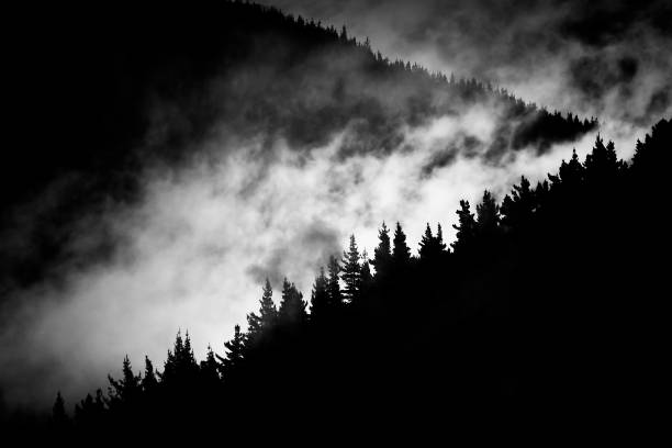 istock fog in the mountain valley 664838452
