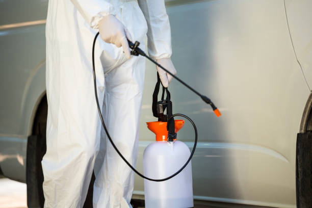istock Mid section of pest control man standing next to a van 664841168