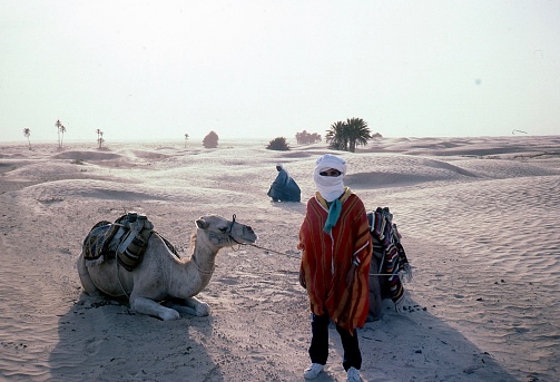 A picture of a young beautiful girl near a oasis in the middle of Sahara desert. Vintage photo. Tunisia. 1980