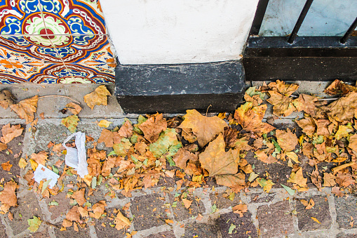 Leaves in a Cobblestone Floor