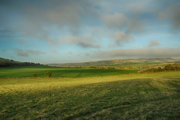 park narodowy south downs w east sussex - dirt road national park south downs footpath zdjęcia i obrazy z banku zdjęć