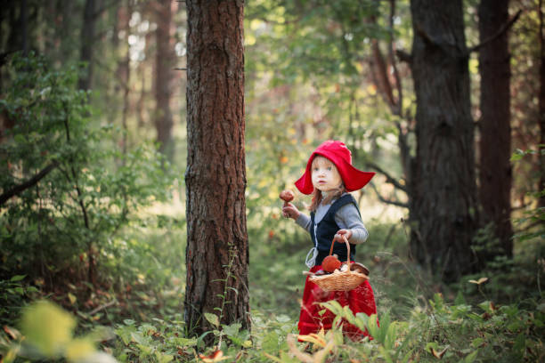 istock Little Red Riding Hood in the woods 664849818