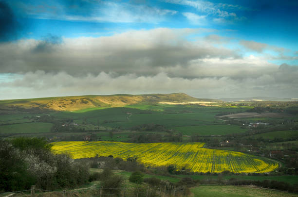 park narodowy south downs w east sussex - dirt road national park south downs footpath zdjęcia i obrazy z banku zdjęć