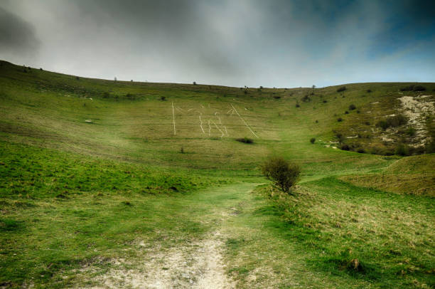 park narodowy south downs w east sussex - dirt road national park south downs footpath zdjęcia i obrazy z banku zdjęć