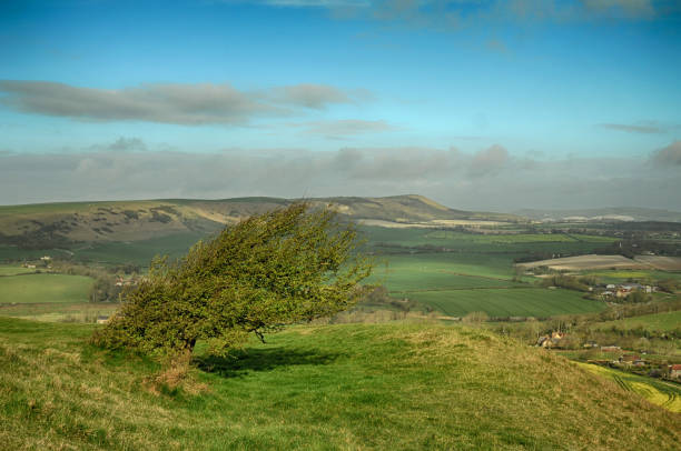 park narodowy south downs w east sussex - dirt road national park south downs footpath zdjęcia i obrazy z banku zdjęć