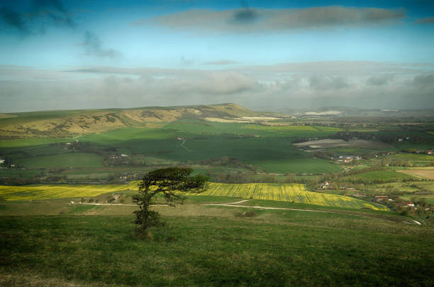 park narodowy south downs w east sussex - dirt road national park south downs footpath zdjęcia i obrazy z banku zdjęć