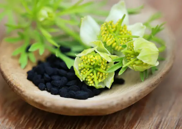 Nigella flower with seeds in a wooden bowl