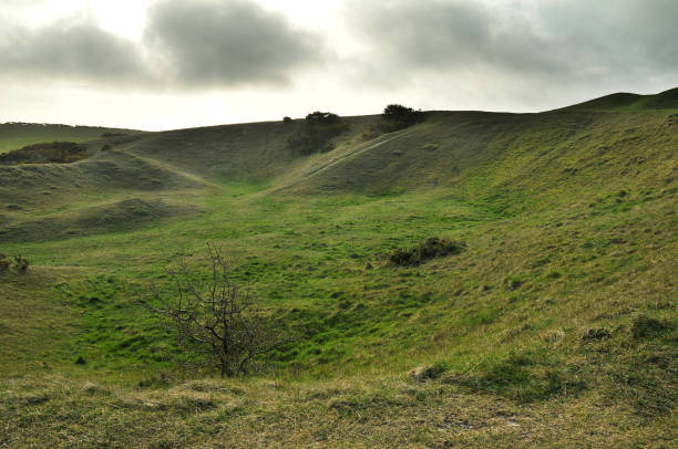 park narodowy south downs w east sussex - dirt road national park south downs footpath zdjęcia i obrazy z banku zdjęć