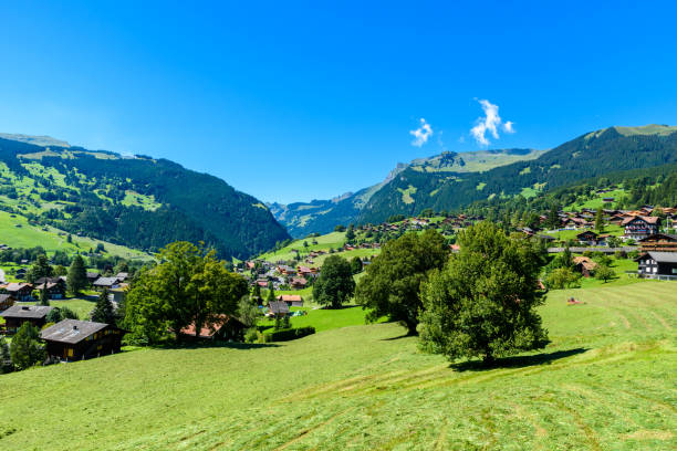 istock Grindelwald - beautiful village in mountain scenery -  Switzerland 664864776