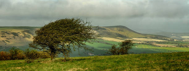 park narodowy south downs w east sussex - dirt road national park south downs footpath zdjęcia i obrazy z banku zdjęć