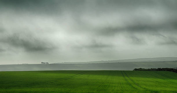 park narodowy south downs w east sussex - dirt road national park south downs footpath zdjęcia i obrazy z banku zdjęć