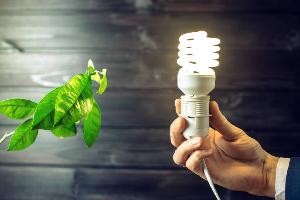 istock Hand holding light bulb next to the green tree 664874310