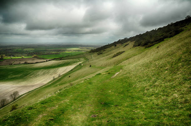 park narodowy south downs w east sussex - dirt road national park south downs footpath zdjęcia i obrazy z banku zdjęć