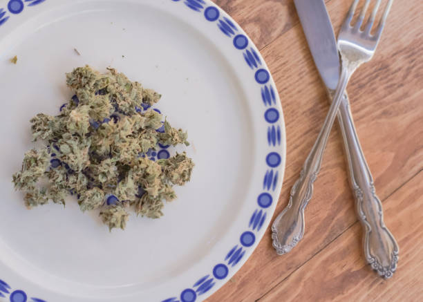 istock Herbal medicine for dinner 664877760