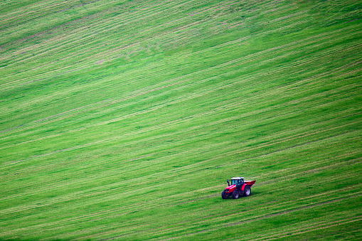 Red tractor on green farm field. Tractor work on field. Good agricultural background. Gree space for text on green field background.