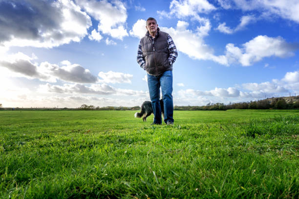 istock Senior man on countryside footpath 664882288