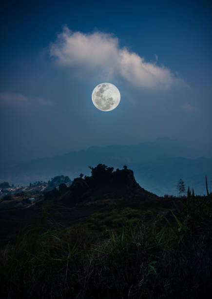 istock Landscape at national park, forest against sky and clouds. 664886534