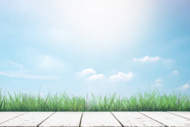 istock White wood table top with spring or summer background for display or montage product 664888854