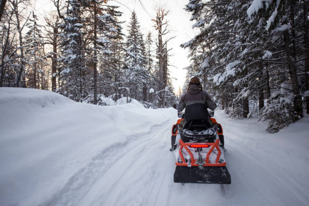istock Driver riding on touring snowmobile in snow frost forest. 664895726