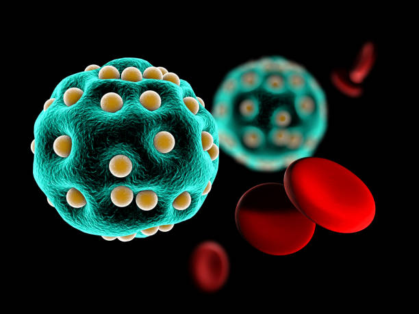 istock Virus and blood cell on black background, 3d illustration of virus cell 664896578