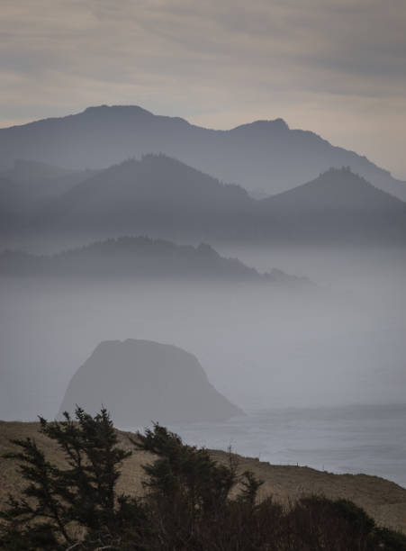 istock Cannon Beach in the fog 664896722