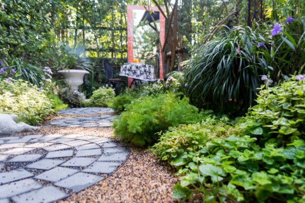 istock Blurred images of Small garden 664896900
