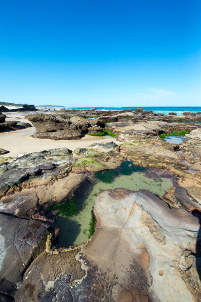 istock Cave beach in North of Sydney 664897112