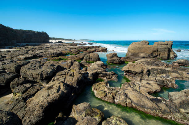 istock Cave beach in North of Sydney 664899474