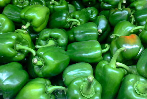 istock Green sweet bell pepper 664899738