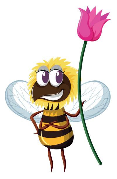 20+ Bee Holding A Pink Flower Stock Illustrations, Royalty-Free Vector  Graphics & Clip Art - iStock