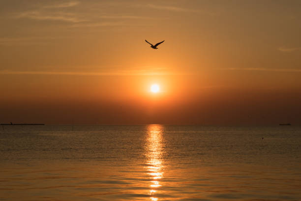 istock beautiful sunset above the sea 664903882