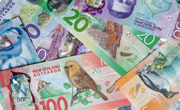 New Zealand money, currency or cash New 2016 New Zealand bank notes money, currency or cash new zealand dollar photos stock pictures, royalty-free photos & images