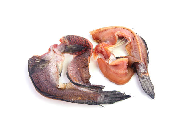 istock dried fish isolated on white background 664916816